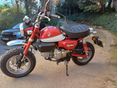 HONDA Z 125 MONKEY 2019/11 - 2
