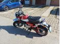 HONDA Z 125 MONKEY 2019/11 - 4
