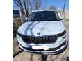 SKODA KODIAQ 2023/3 - 3