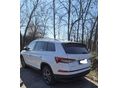 SKODA KODIAQ 2023/3 - 4