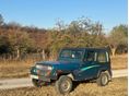 JEEP WRANGLER 1994 - 10