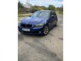 BMW 318 2010/5 - 1