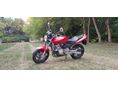 HONDA CB 600 F (HORNET) 1999/4 - 1