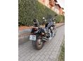 HONDA NV 400 C STEED 1996 - 6