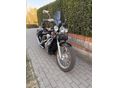 HONDA VT 400 STEED 1996 - 5