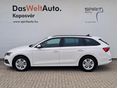 SKODA OCTAVIA 2023/9 - 2