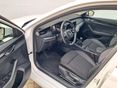SKODA OCTAVIA 2023/9 - 6