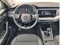 SKODA OCTAVIA 2023/9 - 8