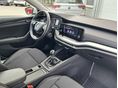 SKODA OCTAVIA 2023/9 - 11