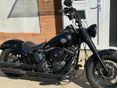 HARLEY-DAVIDSON SOFTAIL 2014/7 - 7