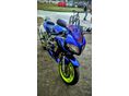 SUZUKI SV 1000 S 2004/6 - 3