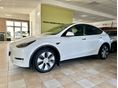 TESLA MODEL Y 2022/6 - 6