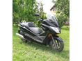 HONDA FORZA 2008/8 - 1