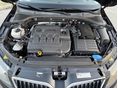 SKODA OCTAVIA 2016/12 - 12