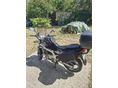 SUZUKI GS 500 E 2001/8 - 5