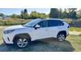 TOYOTA RAV 4 2019 - 1