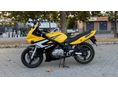 SUZUKI GS 500 F 2005/5 - 6