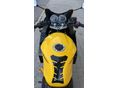 SUZUKI GS 500 F 2005/5 - 7