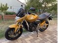 HONDA CB 600 F (HORNET) 2009/7 - 3