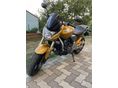 HONDA CB 600 F (HORNET) 2009/7 - 8