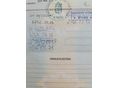 FIAT PALIO 1998/3 - 7