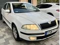 SKODA OCTAVIA 2007/1 - 2