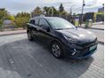 KIA NIRO e-Niro 64kWh Platinum