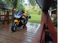 HONDA CBR 900 RR 2001/1 - 4