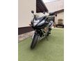 SUZUKI GS 500 F 2007/6 - 2