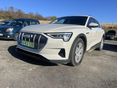 AUDI E-TRON 2020/10 - 2
