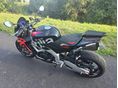 APRILIA TUONO V4 2024/4 - 5