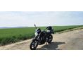 HONDA CB 600 F (HORNET) 2003/4 - 3
