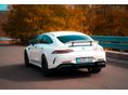 MERCEDES-AMG GT 2019/9 - 4