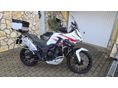 ZONTES 703F 2025/6 - 2