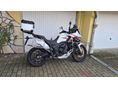 ZONTES 703F 2025/6 - 3