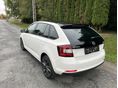 SKODA RAPID 2014/6 - 3