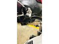 HONDA CB 600 F (HORNET) 2005 - 8