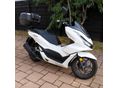 HONDA PCX 125 2024/7 - 1