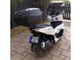 HONDA PCX 125 2024/7 - 3