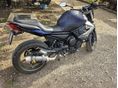 YAMAHA XJ 6 N 2010 - 5