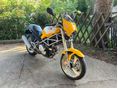 DUCATI MONSTER 600 1994/6 - 1