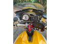 DUCATI MONSTER 600 1994/6 - 5