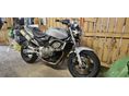 HONDA CB 600 F (HORNET) 2003/5 - 2