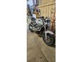 HONDA CB 600 F (HORNET) 2003/5 - 1