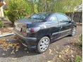 PEUGEOT 206 2002/1 - 3