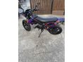 DERBI SENDA X-TREME 50 2016/6 - 5