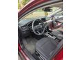 FORD FOCUS 2019/2 - 4
