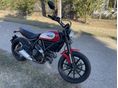 DUCATI SCRAMBLER ICON 2016/9 - 2