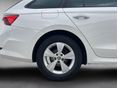 SKODA OCTAVIA 2023/4 - 9