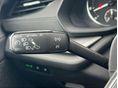 SKODA OCTAVIA 2023/4 - 20